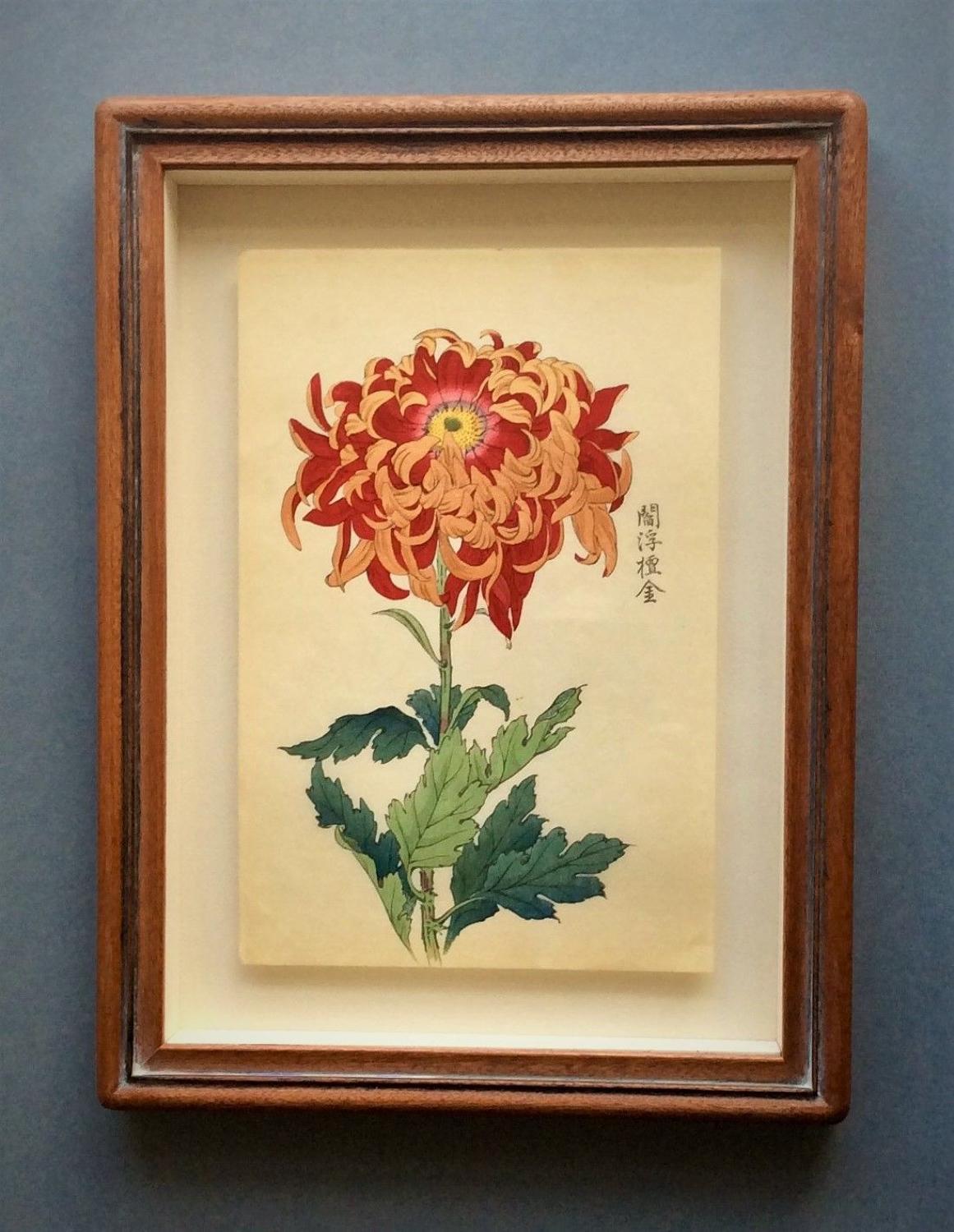 Japanese Chrysanthemum woodblock prints